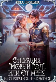 Операция"Новый год", или От меня не спрятаться, не скрыться!